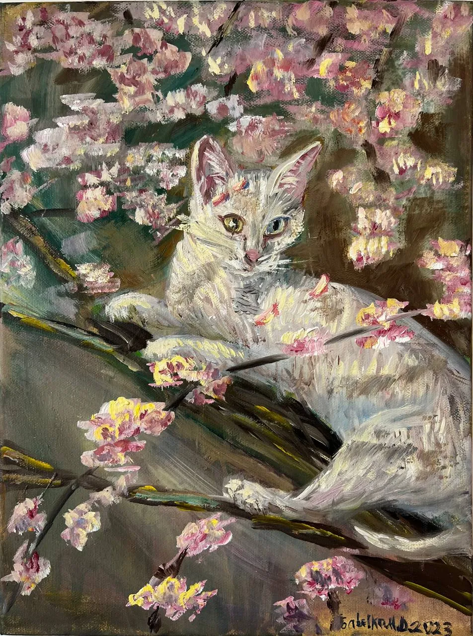 Cat in sakura
