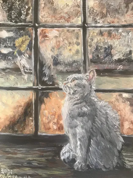 Gray cat on the windowsill