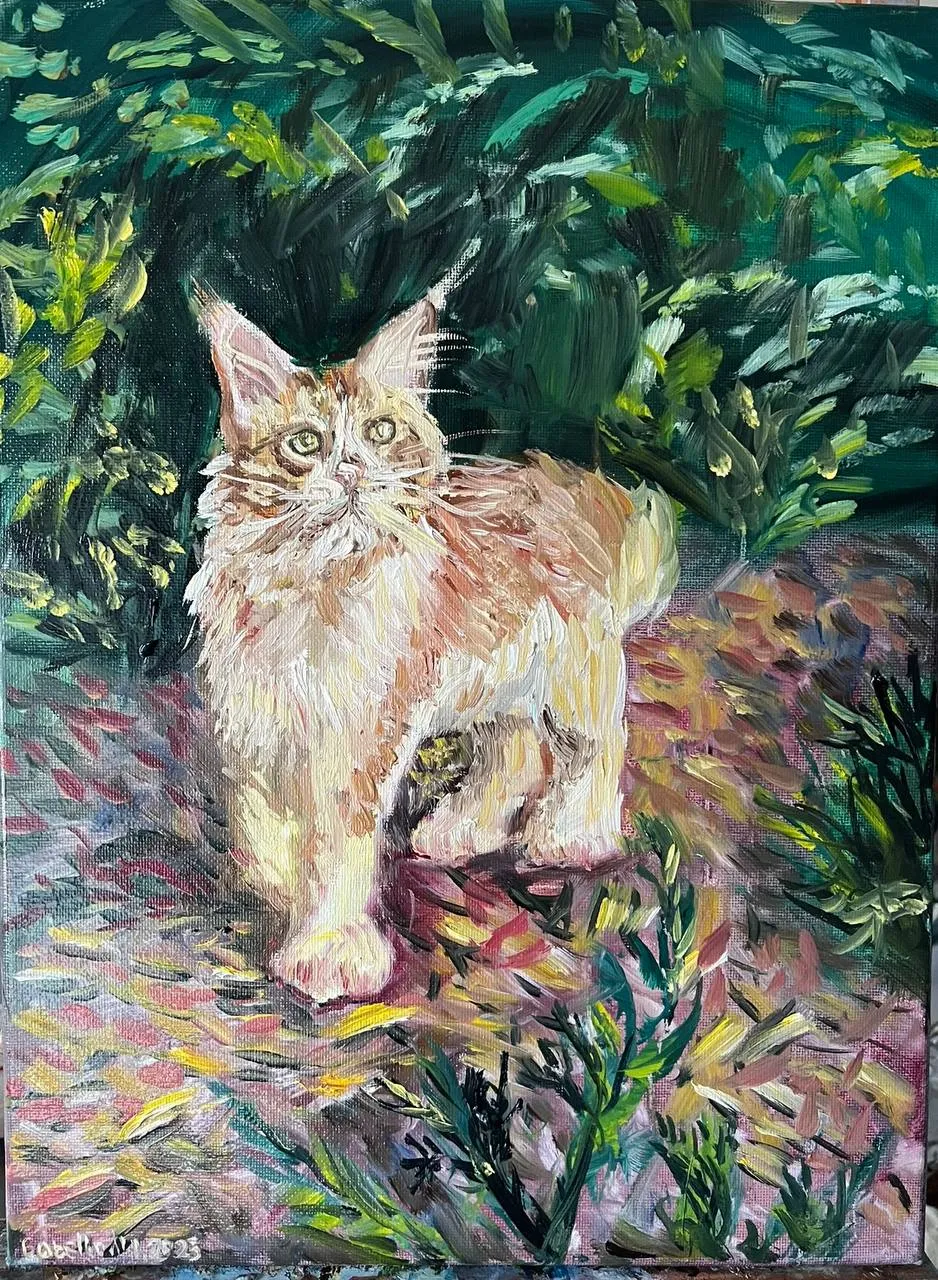 Maine Coon in the forest